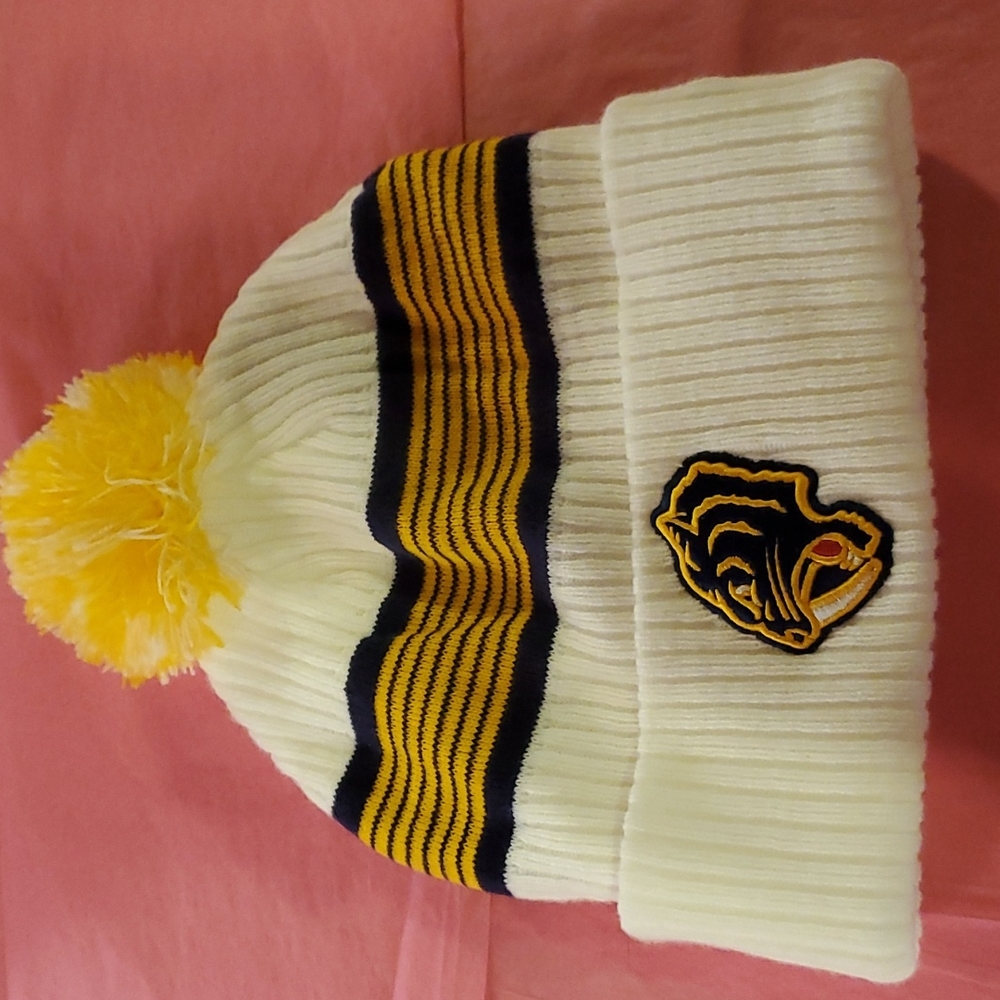 Nashville Predators hat